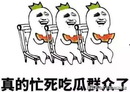 娱乐吃瓜酱想哄你的人