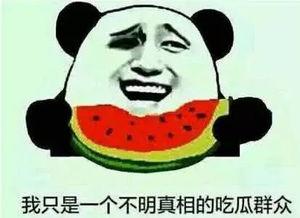 娱乐吃瓜群众一名