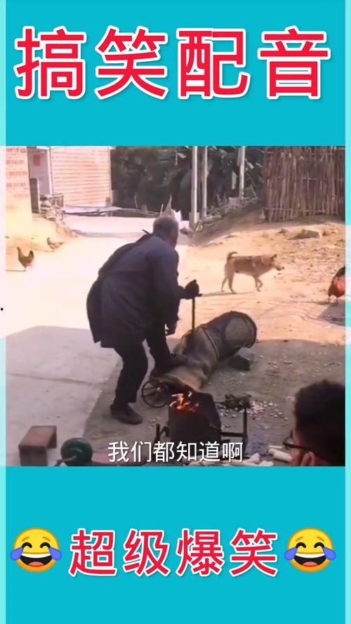 搞笑视频伊川,笑料百出，欢乐无限